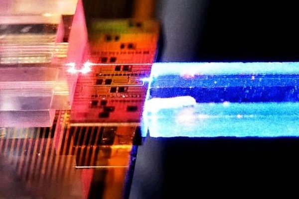 Непробиваемая сеть: ученые создали 