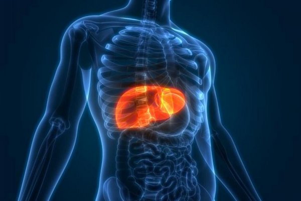 Как избежать цирроза: простые способы защиты печени