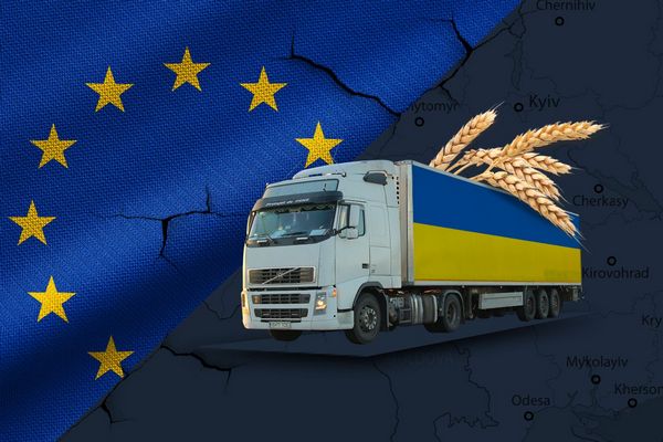 Украинский Экспорт в ЕС: Какие Изменения Нас Ждут После 6 Июня