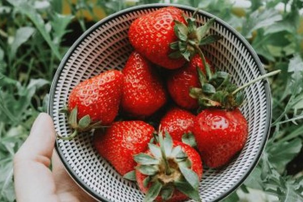 Почему Украинская Клубника Потеряла Вкус: Влияние Погоды и Рынка