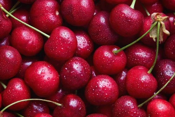Битва за вишню: почему в 2025 году цены на ягоду взлетели