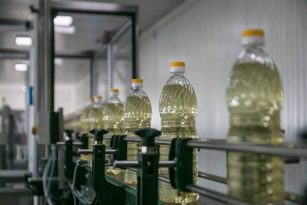 Подсолнечное масло в Украине: высокие цены и новая конкурентная борьба на экспортных рынках