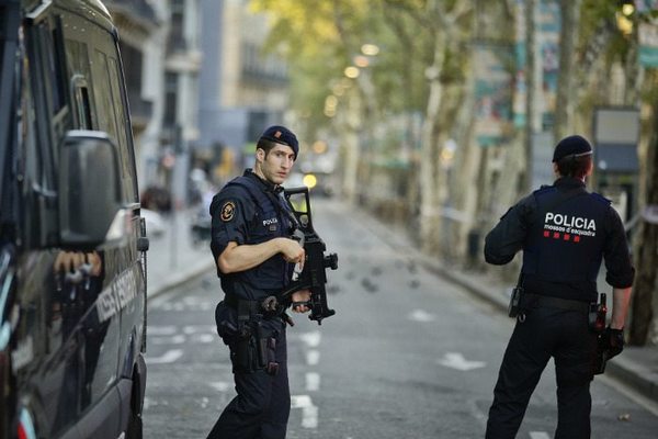 Полиция Испании раскрыла масштабные лесные поджоги