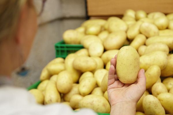 Долгосрочный прогноз: Когда цены на картофель снова начнут расти
