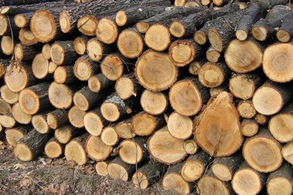 Льготы на коммуналку 2025: Кто получает помощь независимо от дохода и новые лимиты для субсидий