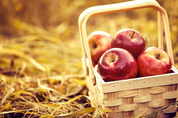 Ценовые качели закончились: как заморозки и уход «ситуативных» игроков стабилизировали рынок яблок