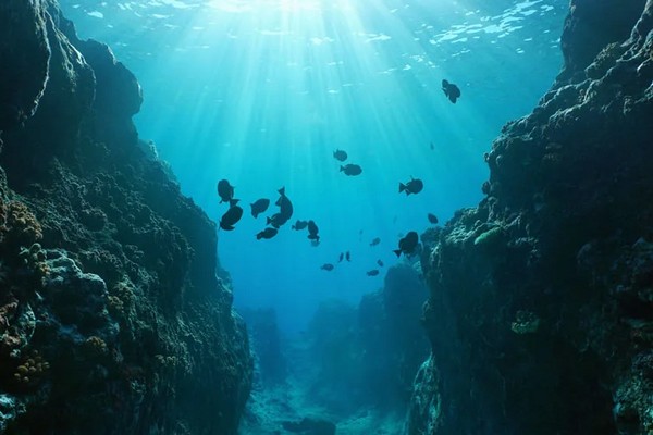 Угроза новых вулканов: Разломы в земной коре могут открыть мантийные «окна»