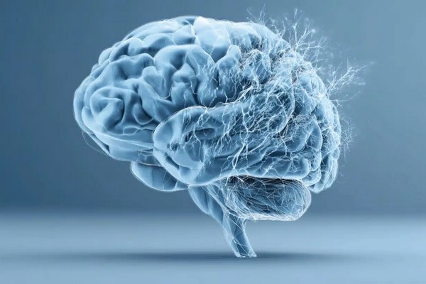 Болезнь Альцгеймера: Ученые нашли способ лечения, регулируя несколько молекулярных систем мозга