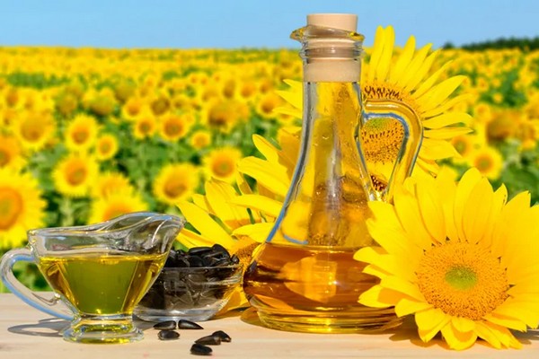 Смена лидеров: Аргентина наращивает влияние на рынке подсолнечника на фоне падения производства в ЕС