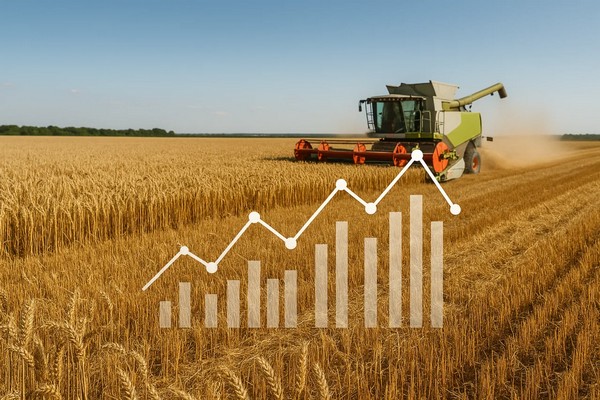 нвестиции в бобовые: как «гороховое перемирие» Канады и Китая повлияет на доходы трейдеров