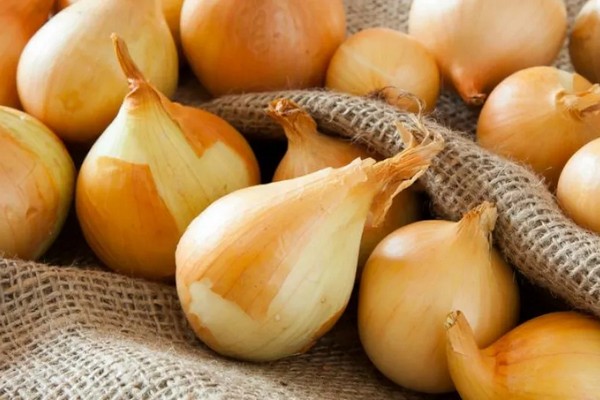 Импорт лука в Украину: спасет ли зарубежная продукция рынок от дефицита?