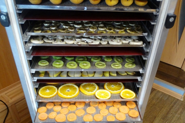 Сушильные шкафы – необходимое оборудования для продажи полезных добаво