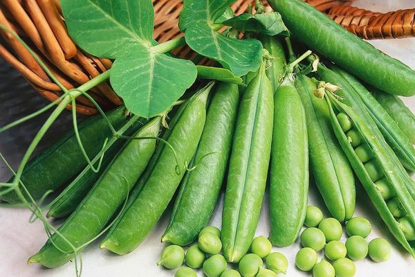 Горох теряет в цене: технический анализ рынка бобовых на январь 2026