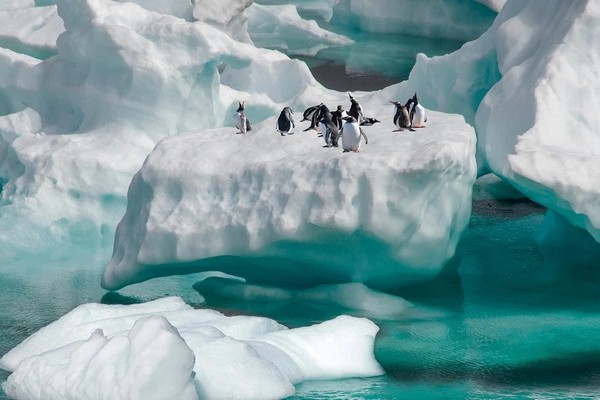 Феномен Антарктиды: ученые нашли объяснение аномально низкой гравитации