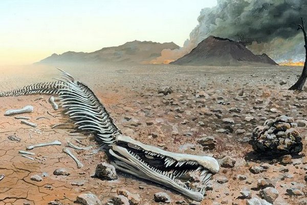 Есть ли шанс? Технологии и стратегии, которые могут остановить вымирание