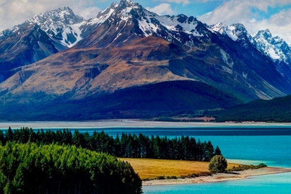 Новая жизнь за границей: выбор между стабильной Норвегией и свободной Новой Зеландией