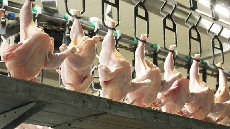 Мясной рынок Швейцарии: курица становится абсолютным лидером