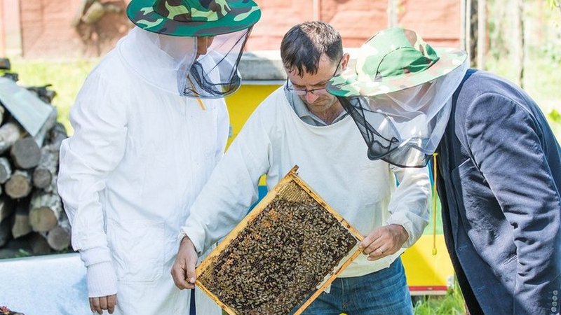 Официальные обращения пасечников: правительство Польши призывают спасти пчеловодческую отрасль