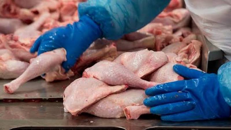 Динамика мирового агробизнеса: объемы производства мяса выросли более чем в четыре раза