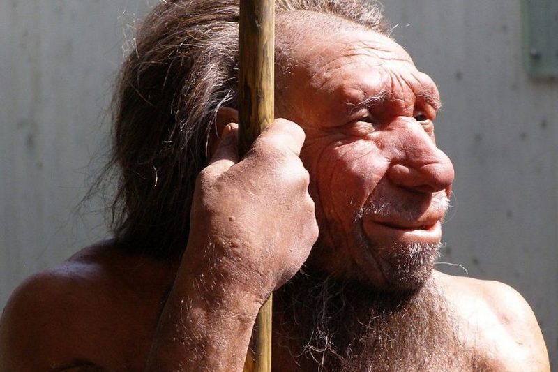 Ученые доказали, что оружие неандертальцев могло убивать жертву на расстоянии