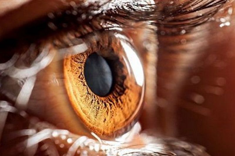 Офтальмологи придумали, как лечить слепоту