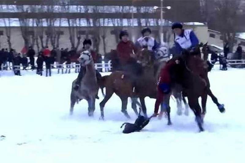 Традиционная народная забава на столичном ипподроме в Москве обернулась мучениями животных