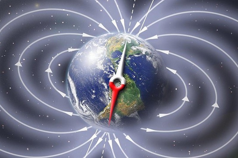 Ученые заявили, что человеческое тело может взаимодействовать с магнитным полем Земли