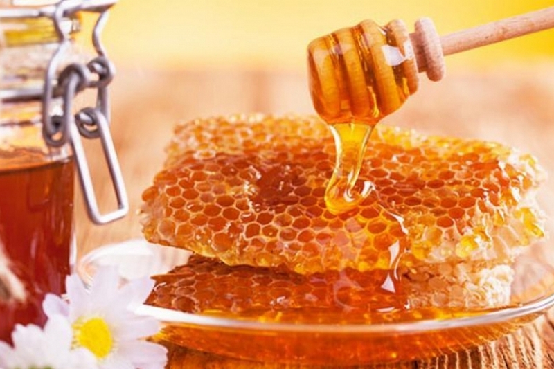 Украина сократила экспорт меда на четверть из-за массового заболевания пчел