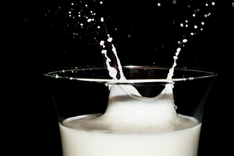 Доходность молока показала рост впервые за 15 месяцев