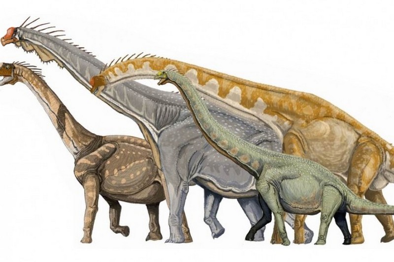 Некоторые динозавры в течение жизни могли переходить от ходьбы на четырех лапах до двух, – ученые