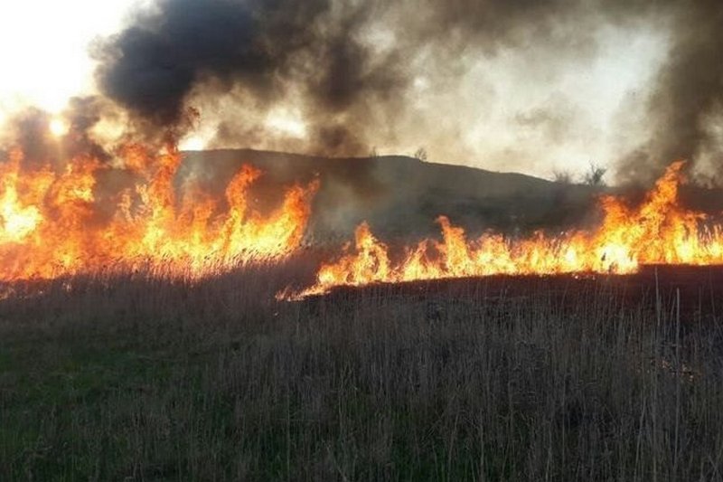 Под Днепром горела сухая трава на площади 1 га