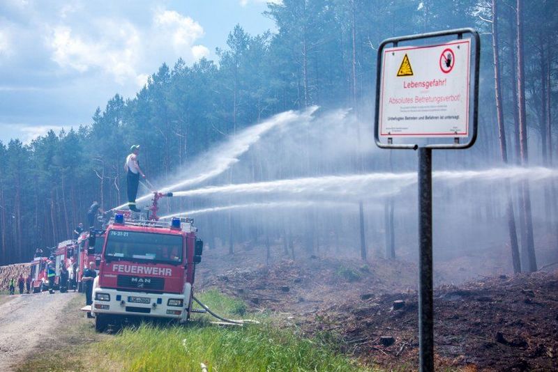 В Германии горит более 600 гектаров леса: спасатели срочно эвакуировали местных жителей