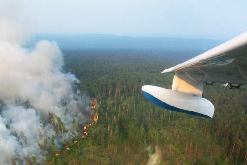 В Сибири потушили более 750 гектаров леса