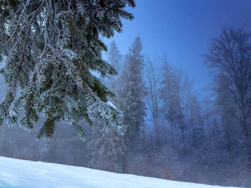 Синоптик рассказал, когда морозы и снегопады уйдут из Украины