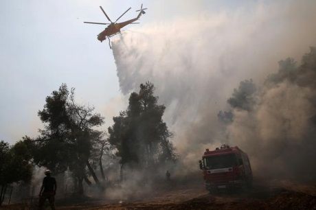 Reuters: В Греции на острове Эвия введено чрезвычайное положение из-за сильного пожара