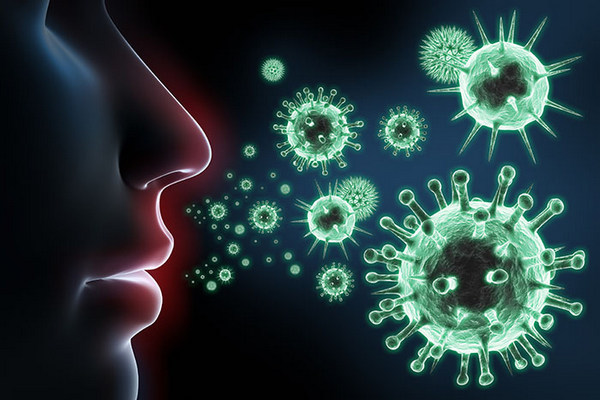 «Загадки иммунитета» для понимания природы аллергии