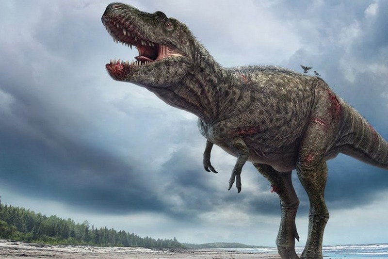 Динозавры жили на другой стороне галактики – ученый NASA (ВИДЕО)