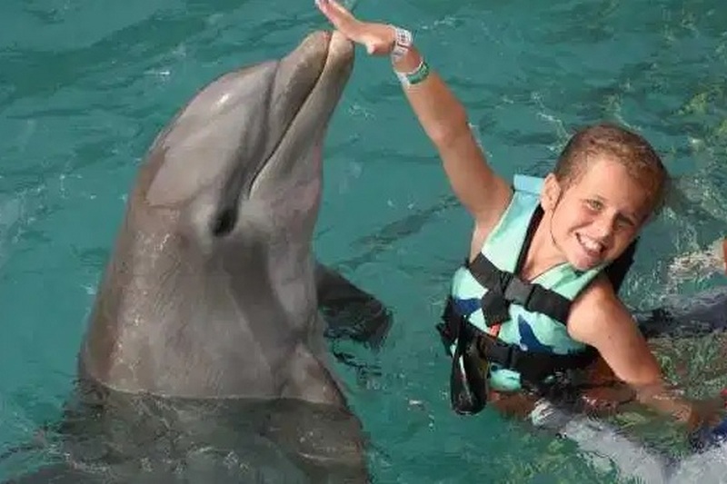 В Мексике агрессивные дельфины покусали и пытались утопить ребенка