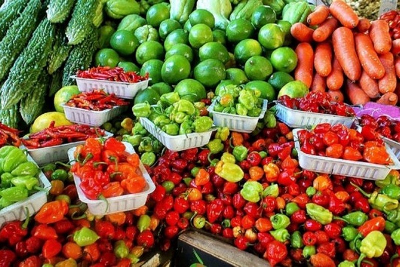 Украина рекордно сократила продажи овощей за границу