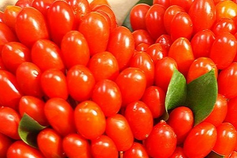 В США вывели растущие в виде букетов томаты