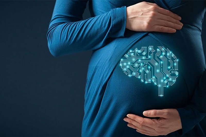 Доказано, что беременность меняет структуру мозга женщины