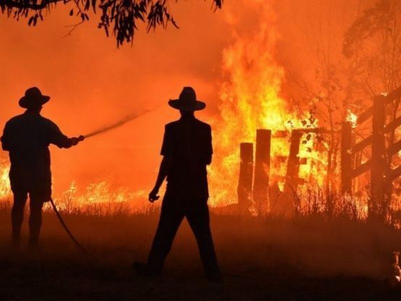 В Австралии создадут комиссию для расследования причин лесных пожаров
