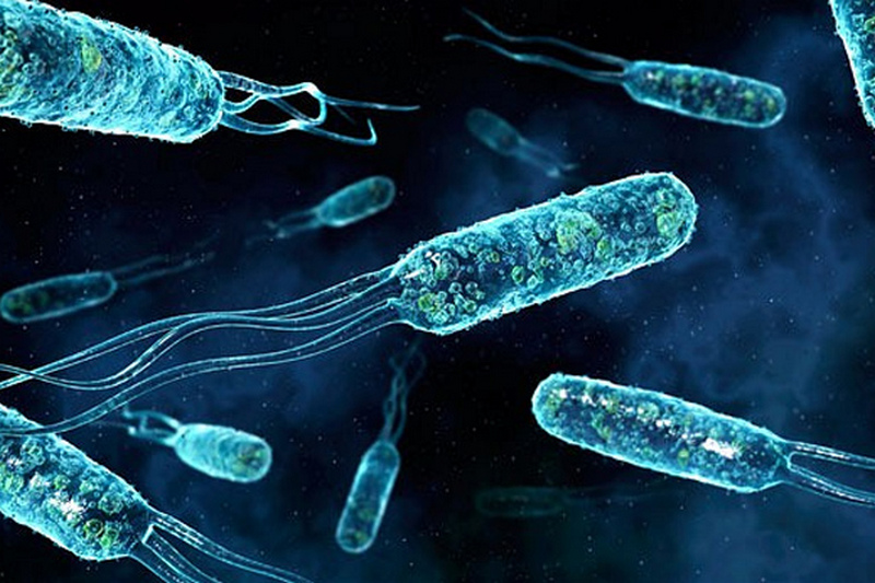 Ученые нашли бактерии, которые едят грязь и дышат электричеством