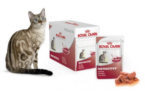 Сухой корм для кошек Royal Canin: особенности и преимущества