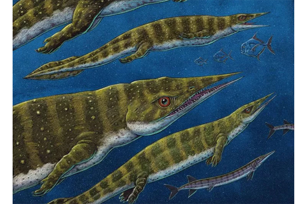 На Аляске нашли «примитивную» рептилию, которая жила 200 миллионов лет назад