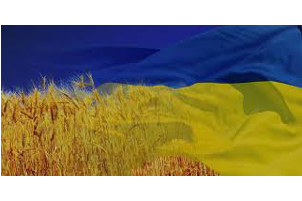 Рост экономики Украины замедлился: неожиданные причины