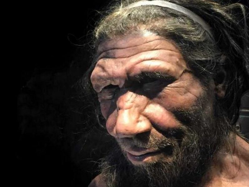 Ученые сделали открытие о неандертальцах