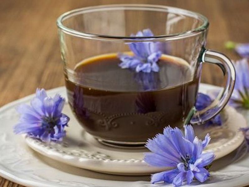 Лучше кофе: преимущества корня цикория для здоровья