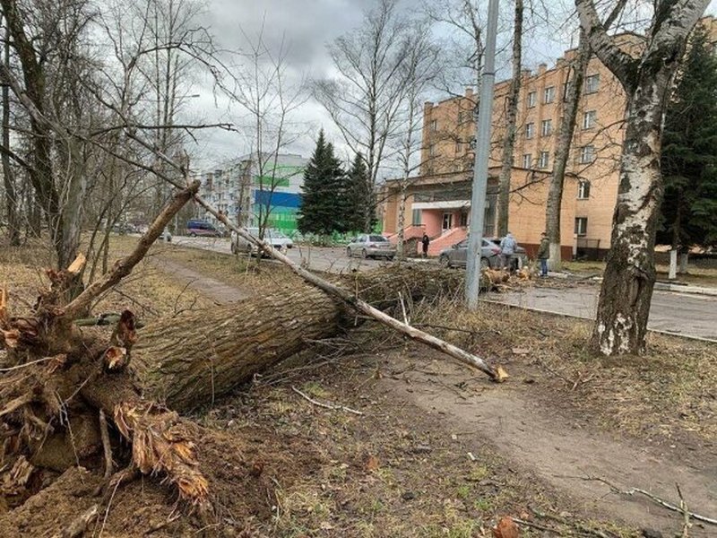 Ураган обрушился на Москву, есть жертва (фото, видео)