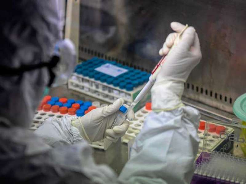 В Германии объявили о создании вакцины против коронавируса